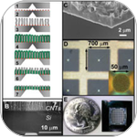 Enhanced Mass Transport in Carbon Nanotubes