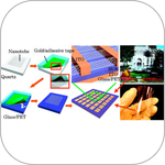 Large Area Printed Transfer of Aligned Carbon Nanotubes for Transparent Electronics Applications