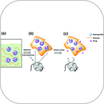 Voltage Controlled Drug Release from Nanoparticles for Hybrid Smart Drug Delivery Systems