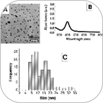 Cytotoxicity and Genotoxicity of Silver Nanoparticles in Human Cells