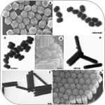 Nanocrystal Synthesis by Seeded Growth