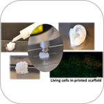 Bioprinting with Peptides