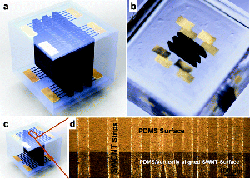 Hybrid Three-Dimensional Single-Walled Carbon Nanotube Architectures