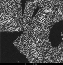 Cadmium Selenide Nanoparticles