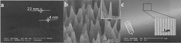 Figure 1 SEM images of nanostructures fabricated using nanoimprint lithography: (a) nested 
