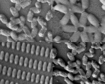 Researchers at MIT and the University of North Carolina created these coated nanoparticles in many shapes and sizes.  Image credit: Kevin E. Shopsowitz and Stephen W. Morton