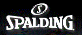 Spalding Sports Worldwide Inc