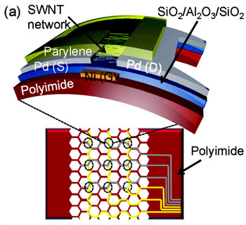 Semiconductor-enriched SWNT TFTs on flexible substrates. (a) Schematic of a mechanically flexible/stretchable active-matrix back-plane (64 cm2 with 128 pixel array) based on SWNT TFTs, and an expanded schematic of a single TFT.