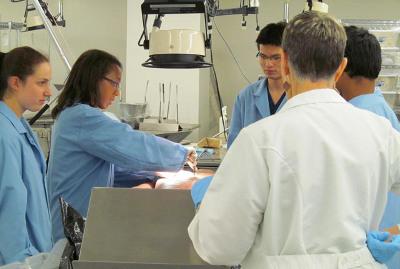 Graduate student trainees from the Rice-MD Anderson Med Into Grad program undergoing pathology training in 2014. Rice and MD Anderson have launched a new training program in translational cancer nanotechnology that is based on Med Into Grad. Credit: IBB/Rice University