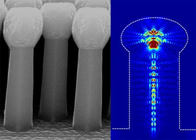 (Left) Silicon wires with match heads and (right) light absorption profile of a single match-head wire at 587 nm absorption. Image courtesy of the Center for Integrated Nanotechnologies