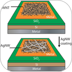 Improved Method of Device Area Scale-up for SWNT/Silicon Hybrid Solar Cells Using Silver Nanowires