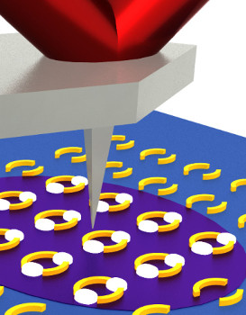 Infrared laser light (purple) from below a sample (blue) excites ring shaped nanoscale plasmonic resonator structures (gold). Hot spots (white) form in the rings’ gaps. In these hot spots, infrared absorption is enhanced, allowing for more sensitive chemical recognition. A scanning AFM tip detects the expansion of the underlying material in response to absorption of infrared light. (Image reproduced courtesy of NIST).