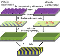 oprejst ordbog i live The Frontline of Nanomanufacturing: Top Down Meets Bottom Up for Patterned  Media Approaches to Magnetic Data Storage | InterNano