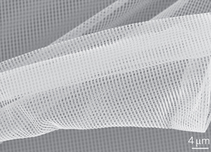 SEM image of a flexible 3D NIM membrane formed by release and subsequent deposition on a solid support.