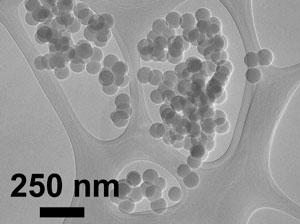 UA researcher and paper co-author Reyes Sierra used an electron microscope to acquire this image of silica nanoparticles.