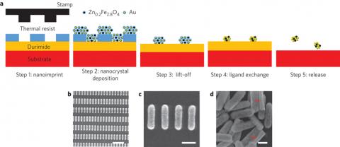 Schematic of the Zn0.2Fe2.8O4:Au hybrid nanorod fabrication process. Step 1: a Si substrate with a spin-coated bilayer of Durimide and thermal resist is imprinted with a nanorod-pillar-patterned stamp. Step 2: a mixture of Au and Zn0.2Fe2.8O4 nanocrystals is deposited by spin-coating. Step 3: resist lift-off. Step 4: ligand-exchange of the patterned nanocrystal-based nanorods with NH4SCN. Step 5: nanorod release on dissolving the Durimide layer.